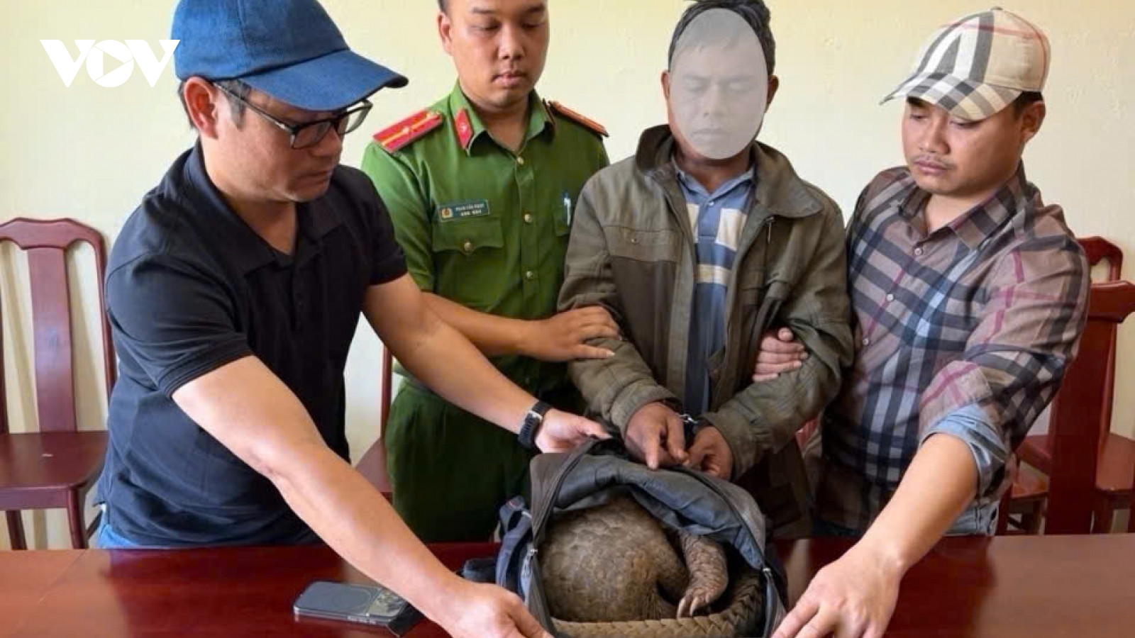 Bắt quả tang người đàn ông vận chuyển trái phép cá thể tê tê quý hiếm