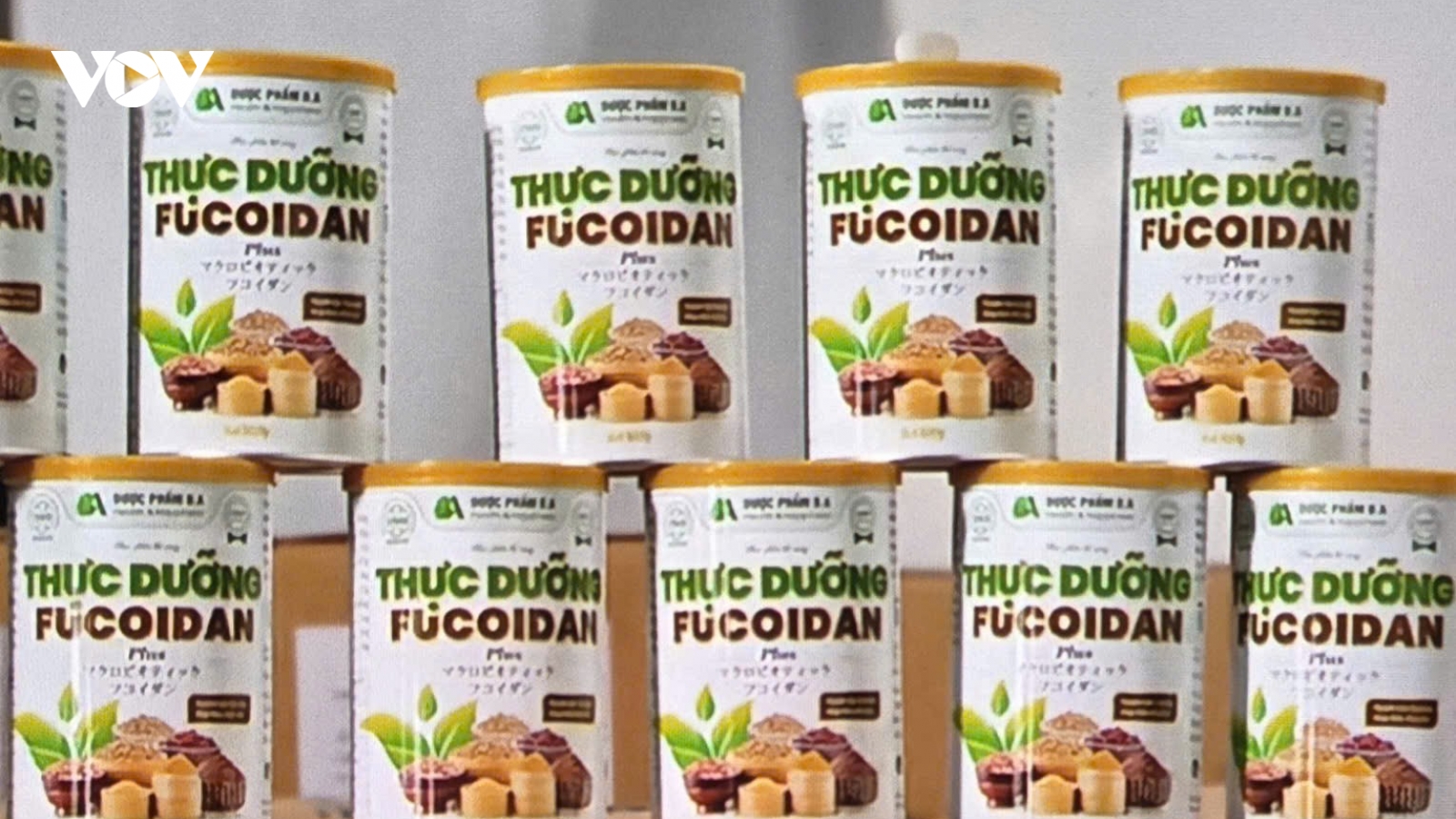 Bắc Ninh khởi tố giám đốc và chủ tịch công ty sản xuất sữa chữa ung thư giả