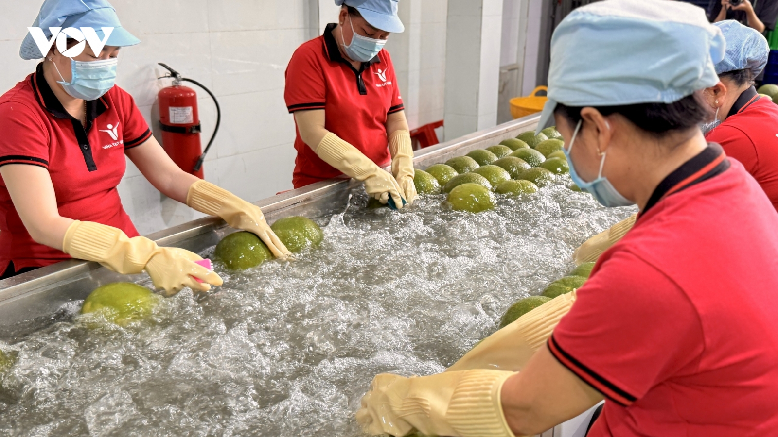 Doanh nghiệp khởi nghiệp xanh cùng ra biển lớn
