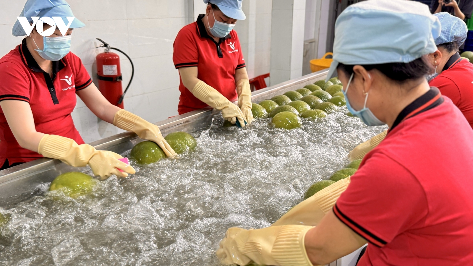 Doanh nghiệp khởi nghiệp xanh cùng ra biển lớn