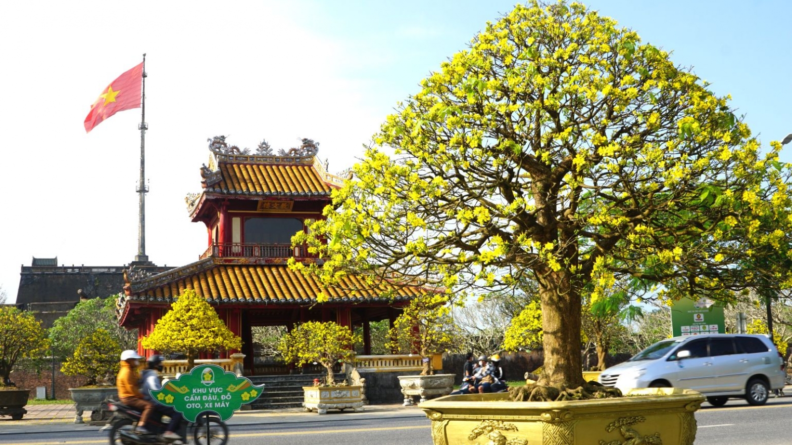 Hàng trăm tác phẩm Hoàng mai Huế rực rỡ khoe sắc Xuân 2026