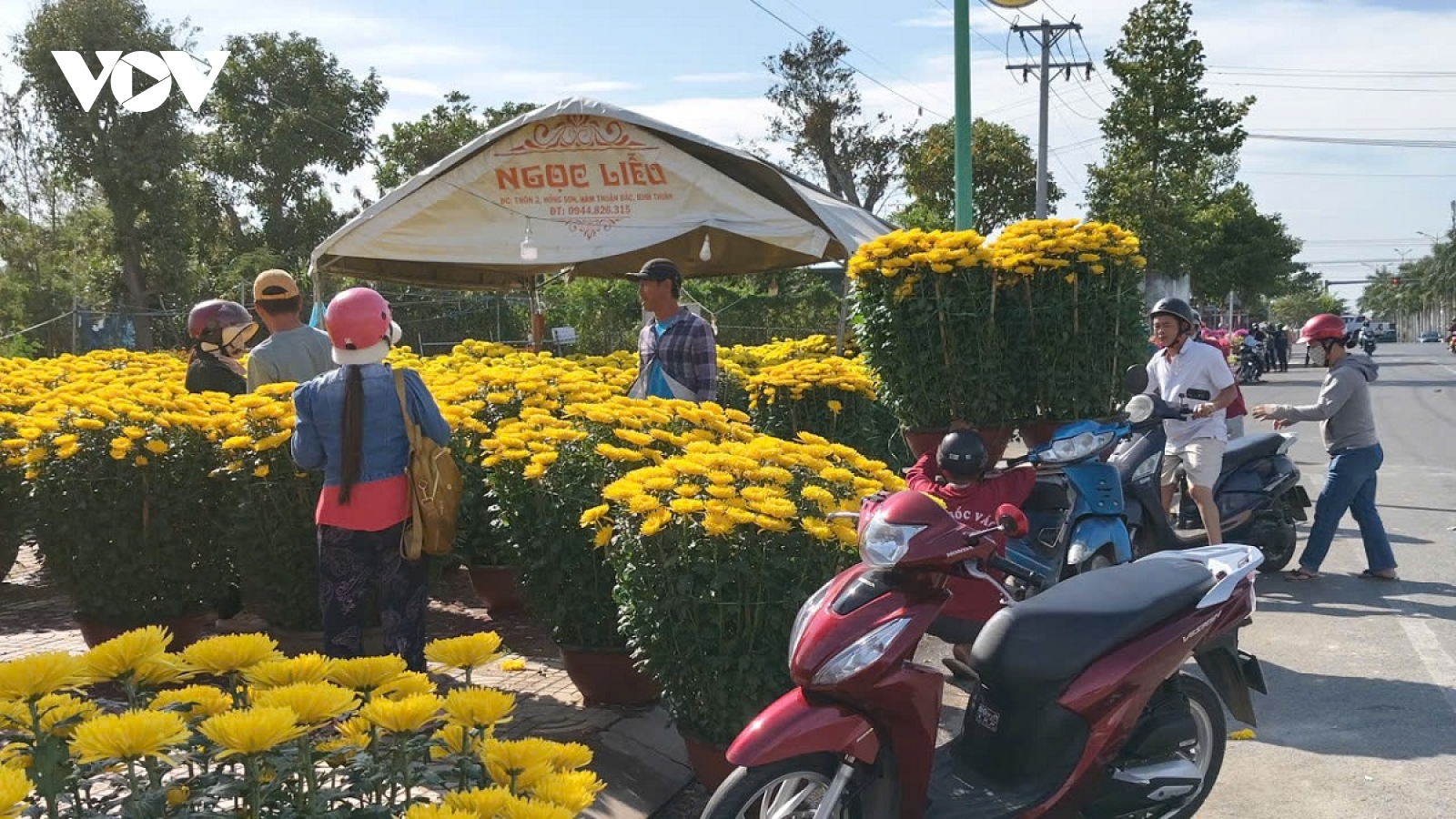 Rộn ràng không khí Tết ở vùng biển Lâm Đồng