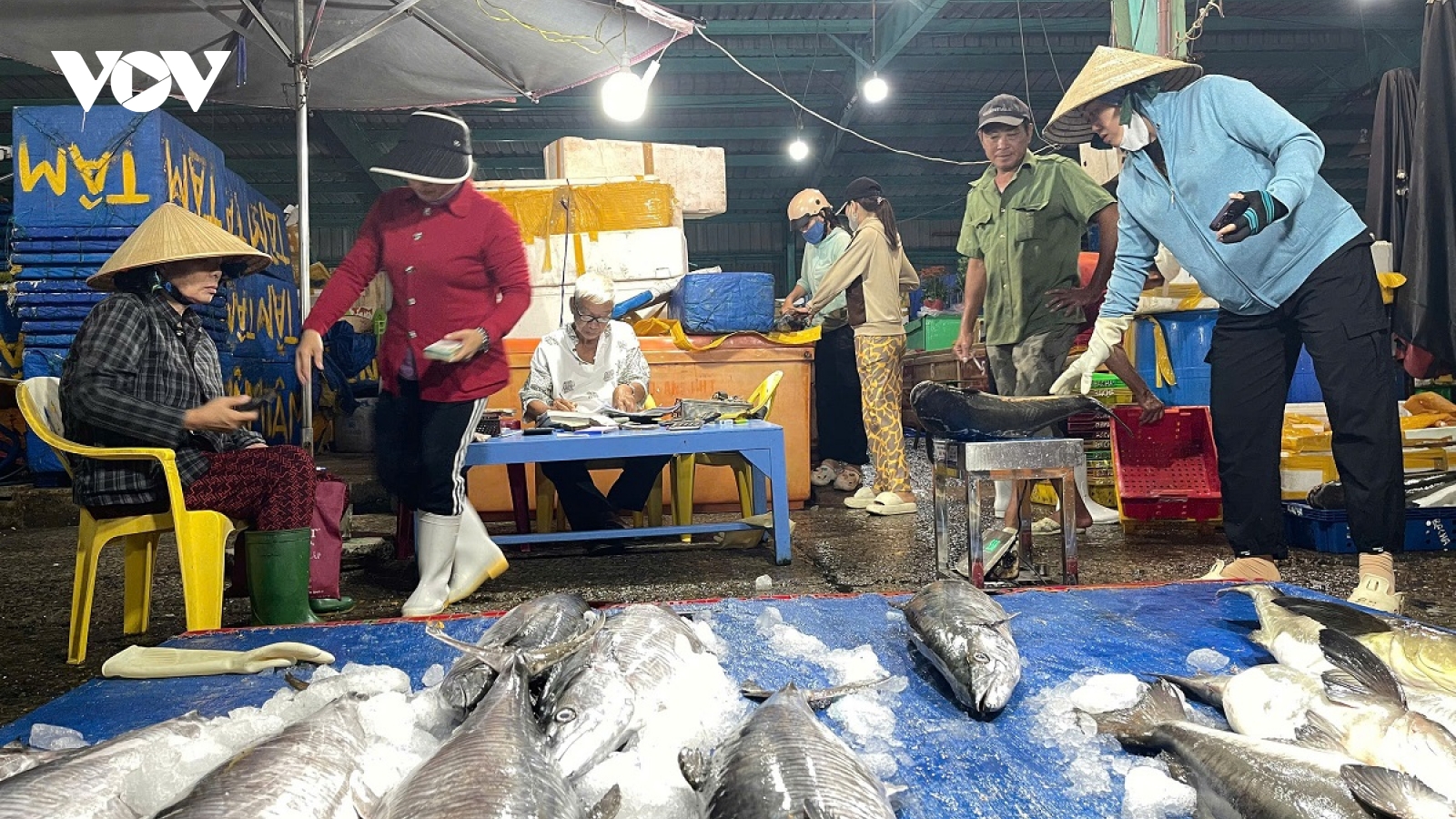 Niềm vui của ngư dân Lâm Đồng với chuyến biển cuối năm