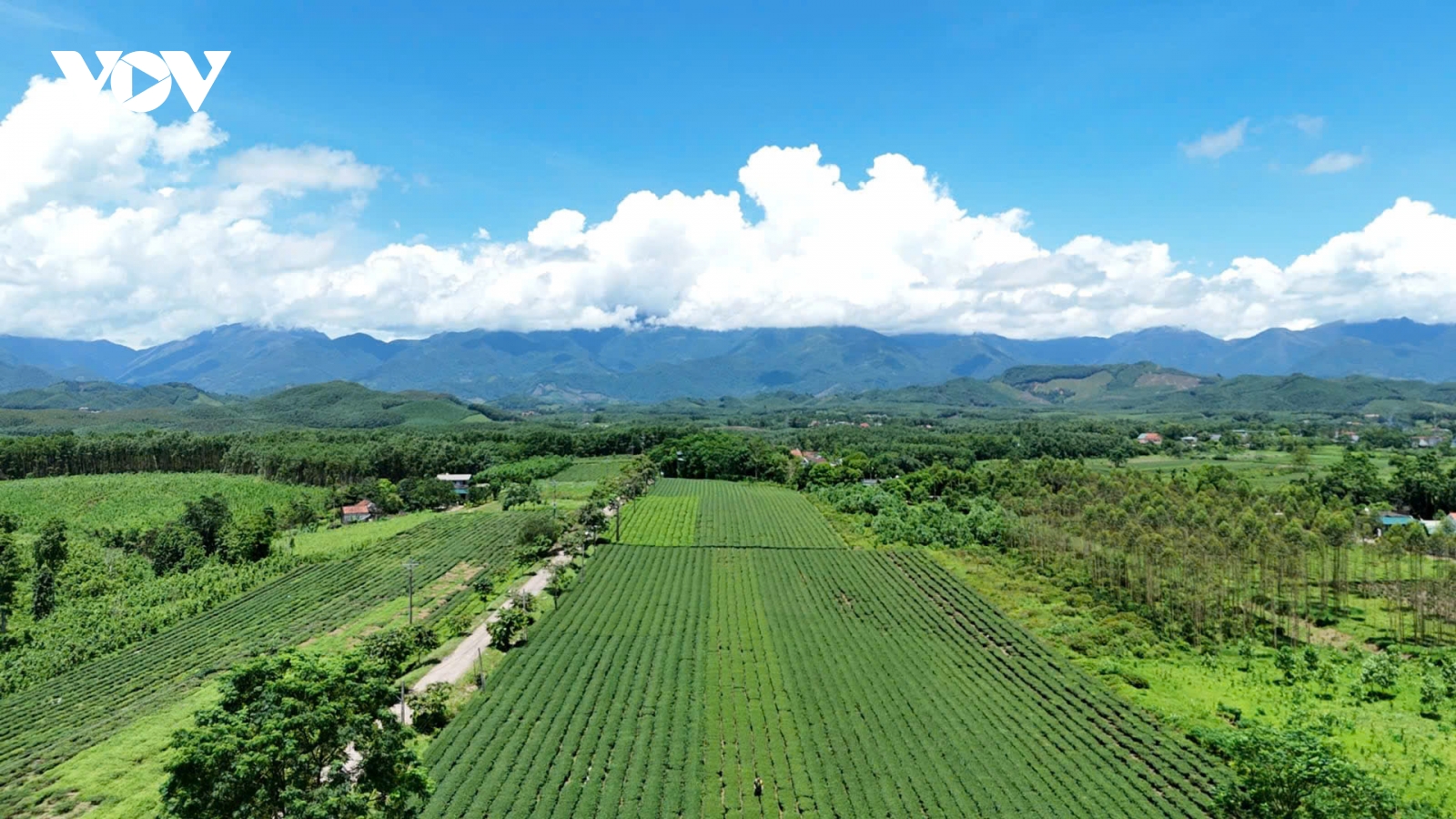 Xuân mới ở vùng biên cương Quảng Ninh
