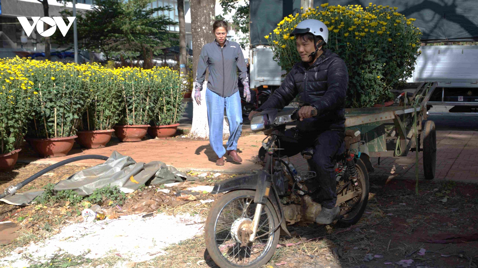 Phí vận chuyển hoa, cây cảnh tăng gấp đôi trong dịp Tết