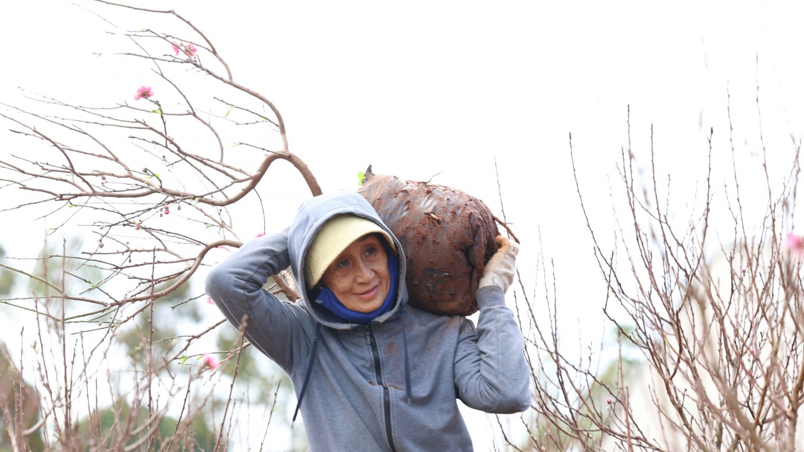Sắc đào thắm trên đất cao nguyên Đắk Lắk