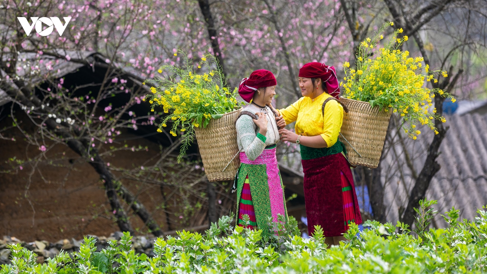 Nghe "Mùa xuân đầu tiên" để thấy mùa bình thường cũng hóa thiêng liêng