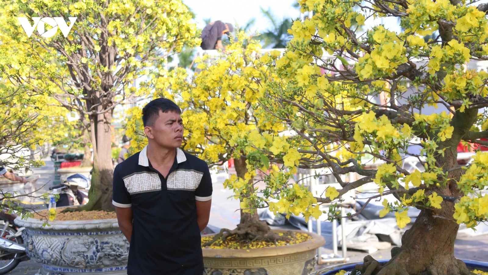 Chợ hoa Tết Đà Nẵng vắng khách