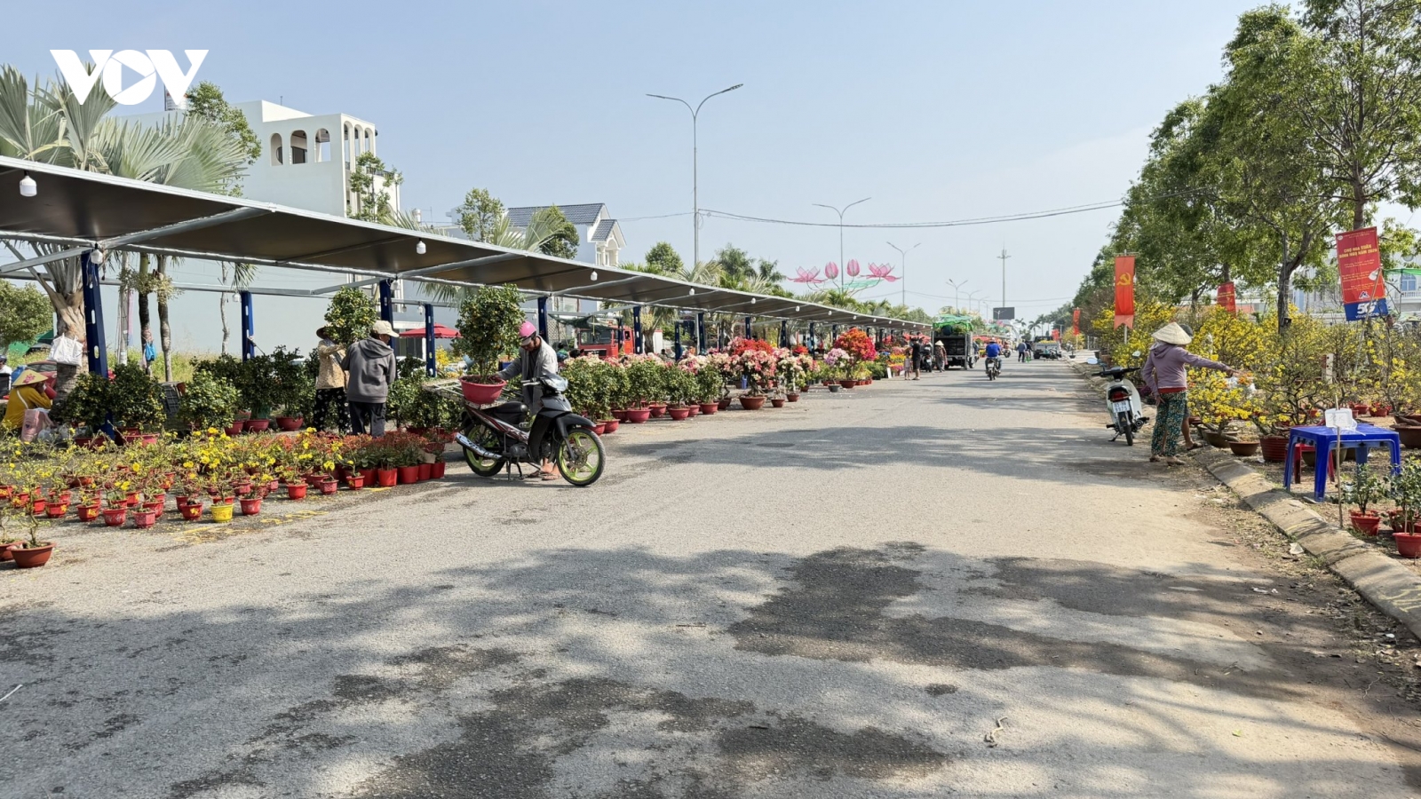 Cần Thơ: 28 Tết hoa kiểng vẫn chưa hút hàng