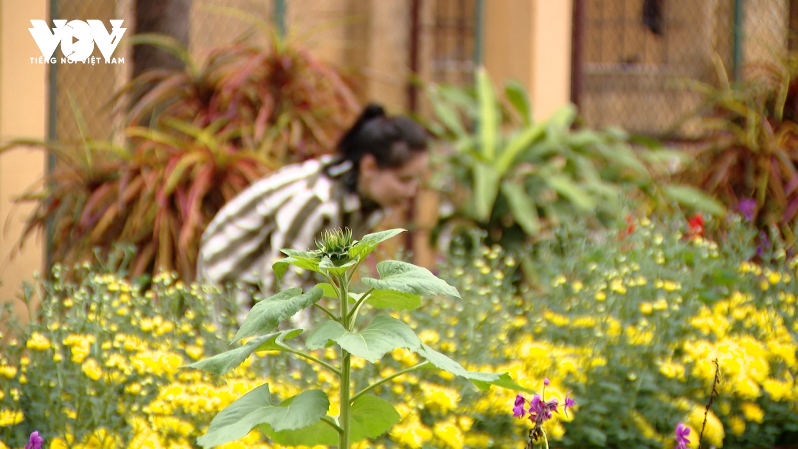 Đón tết trong trại giam, phạm nhân nôn nao nhớ gia đình