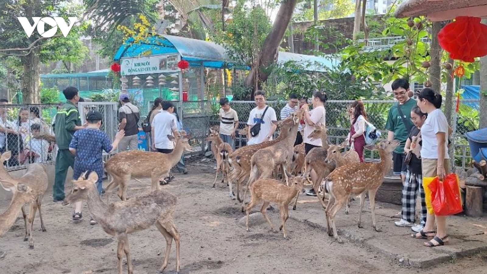 Các điểm vui chơi ở TP.HCM kín chỗ, lượng khách tăng 20%