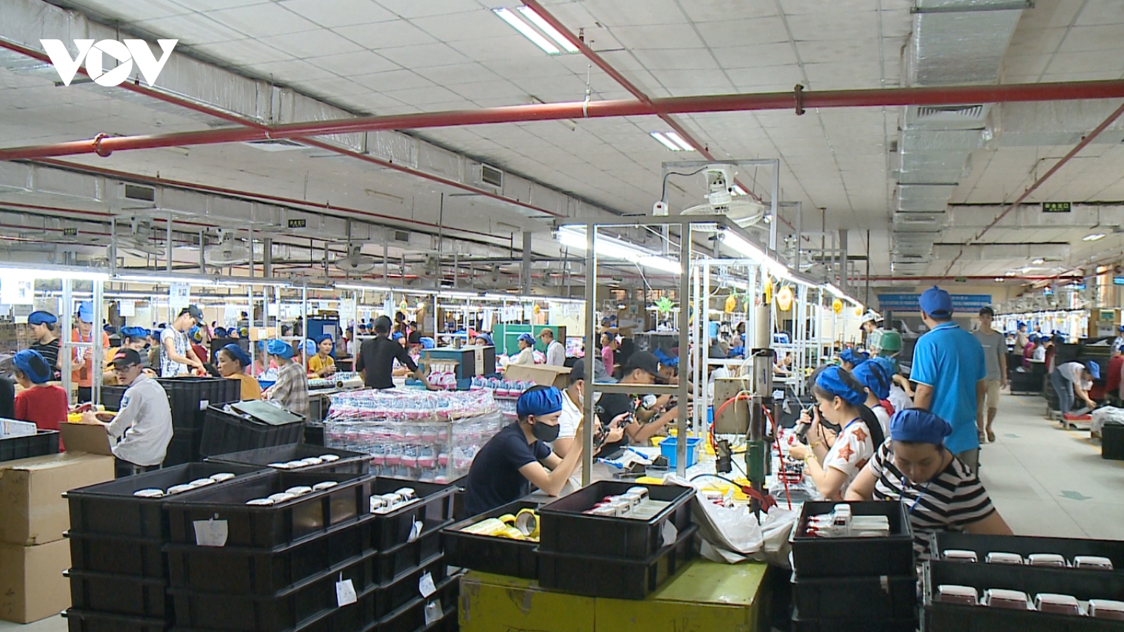 Nuôi dưỡng nội lực doanh nghiệp nhỏ và vừa