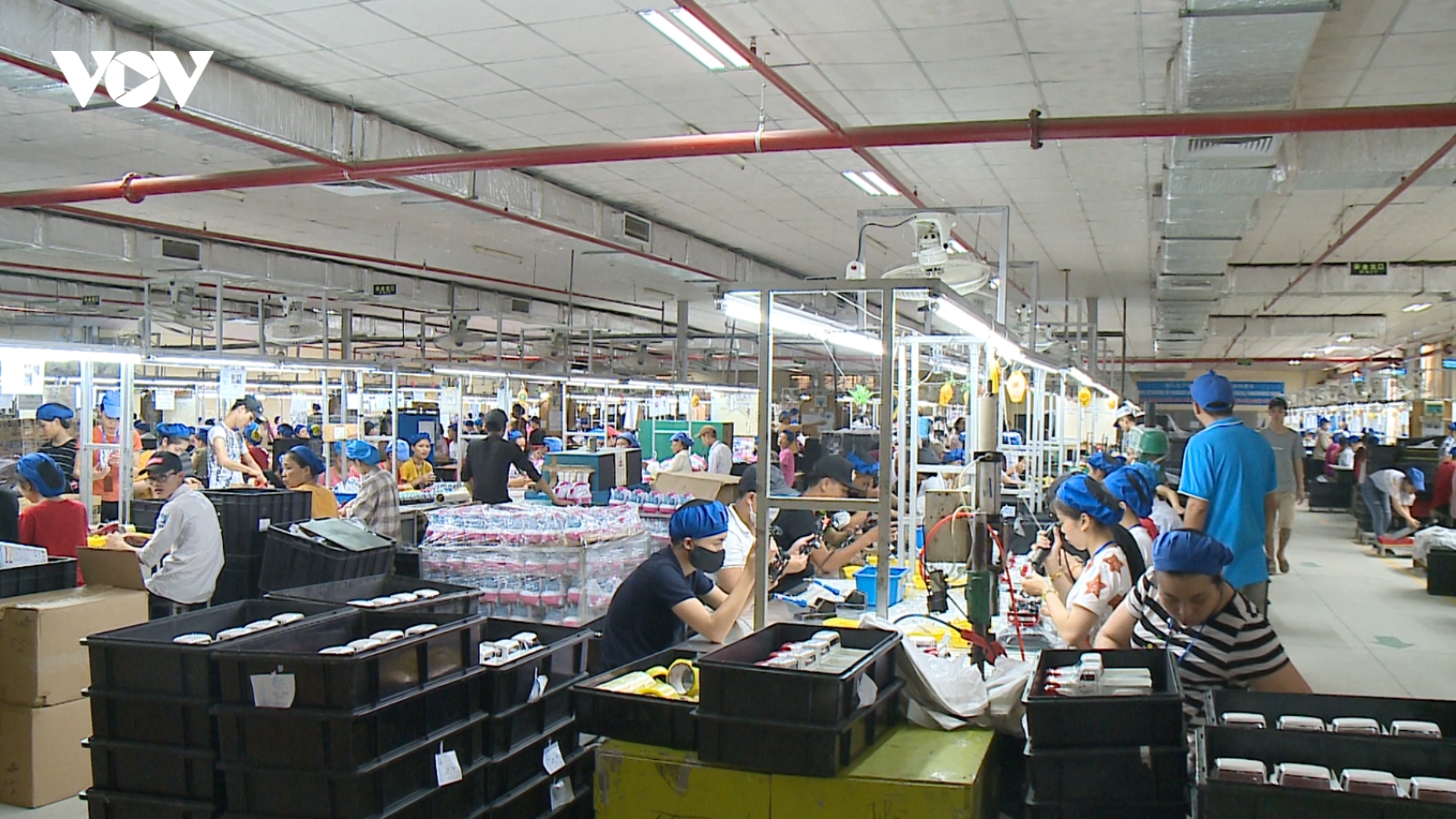 Nuôi dưỡng nội lực doanh nghiệp nhỏ và vừa