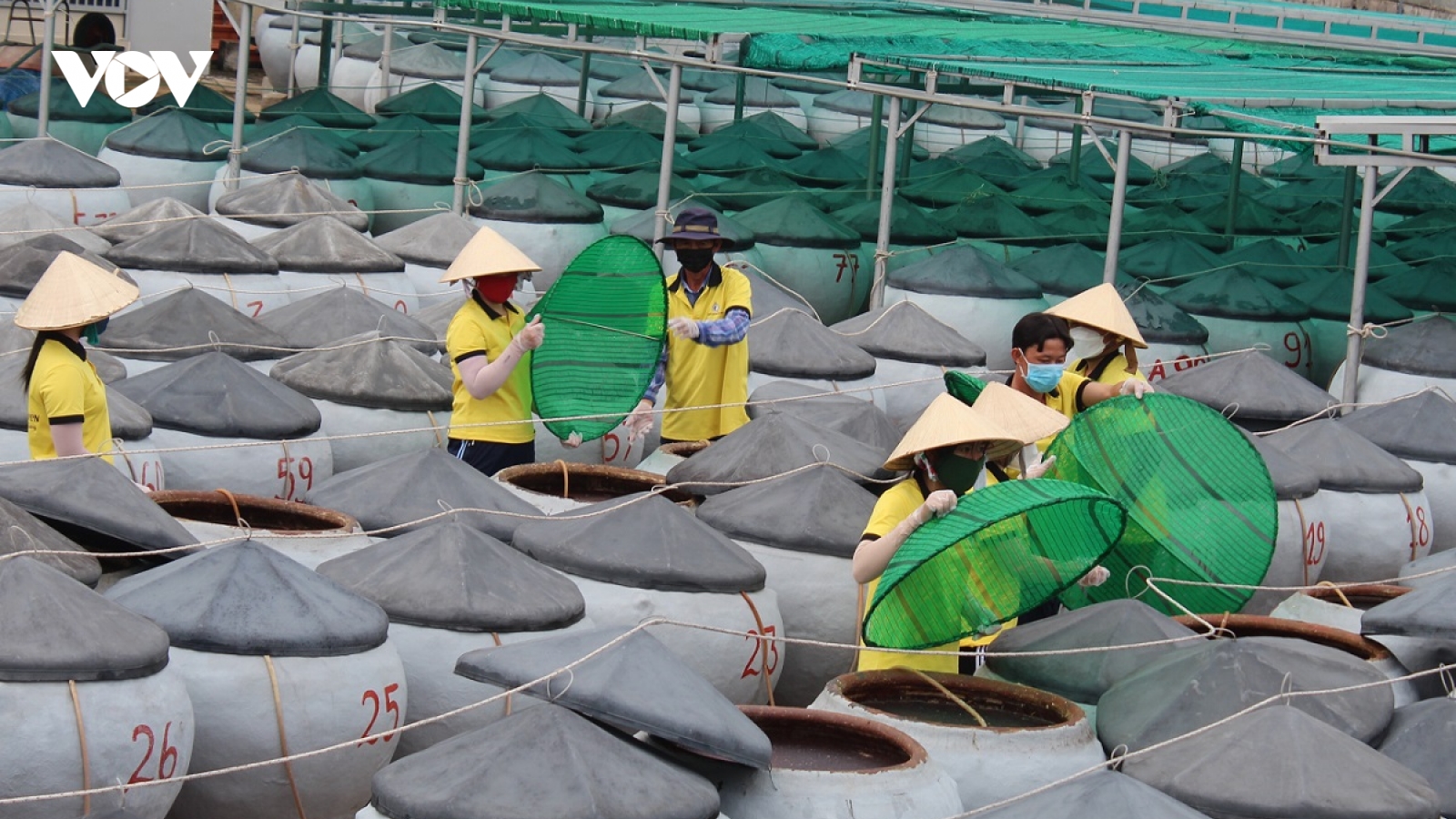 Nước mắm Phan Thiết: Hành trình 300 năm và con đường đến di sản văn hóa
