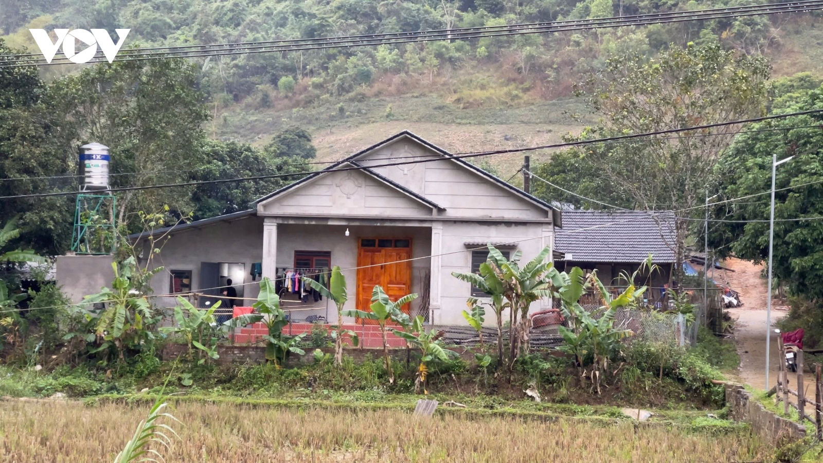 Xuân ấm từ những mái nhà