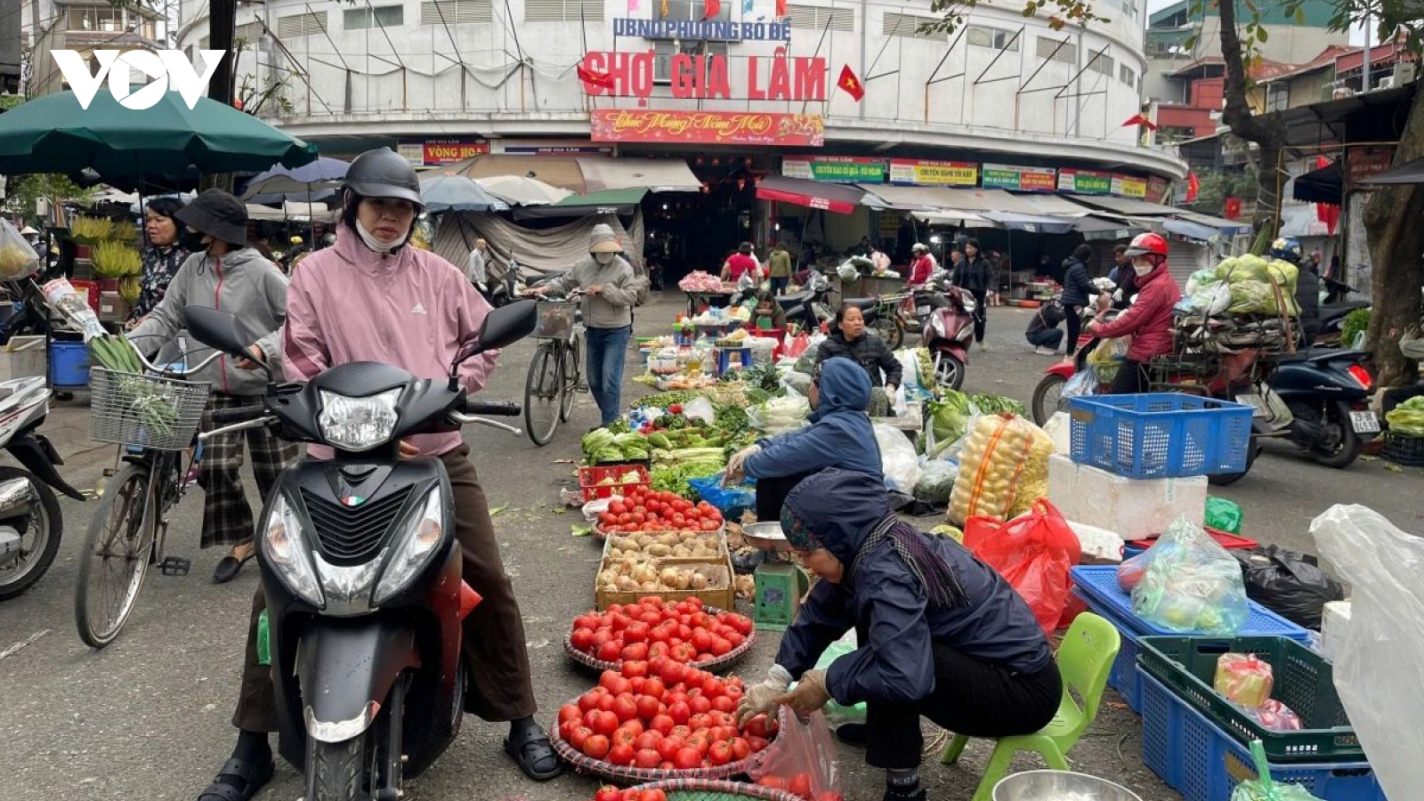 Post-Tet market stabilises as supplies remain abundant nationwide