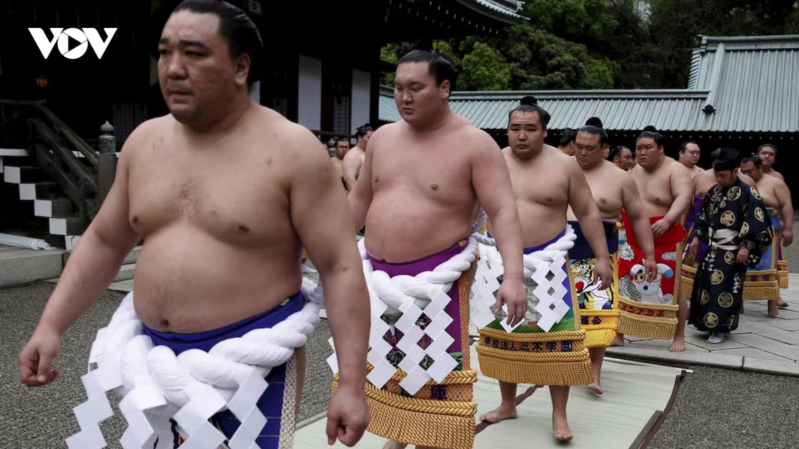 Sumo sẽ thay đổi hay chấp nhận trở thành "di sản đóng băng" của Nhật Bản?