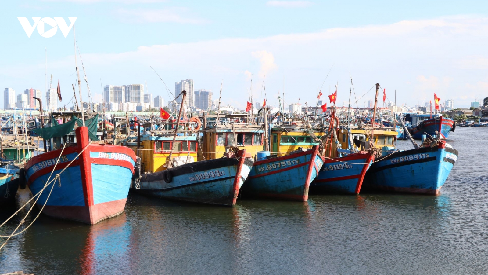 Phiên biển cuối năm, ngư dân miền Trung thực hiện nghiêm chống khai thác IUU