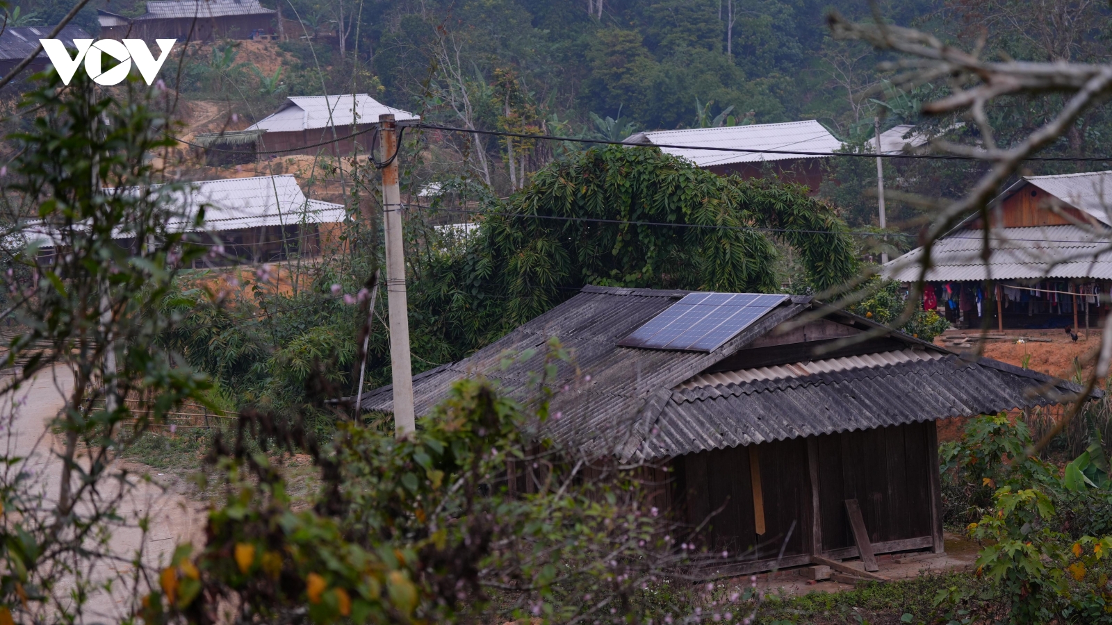 Xuân no ấm về trên những bản Mông ở miền Tây Thanh Hóa