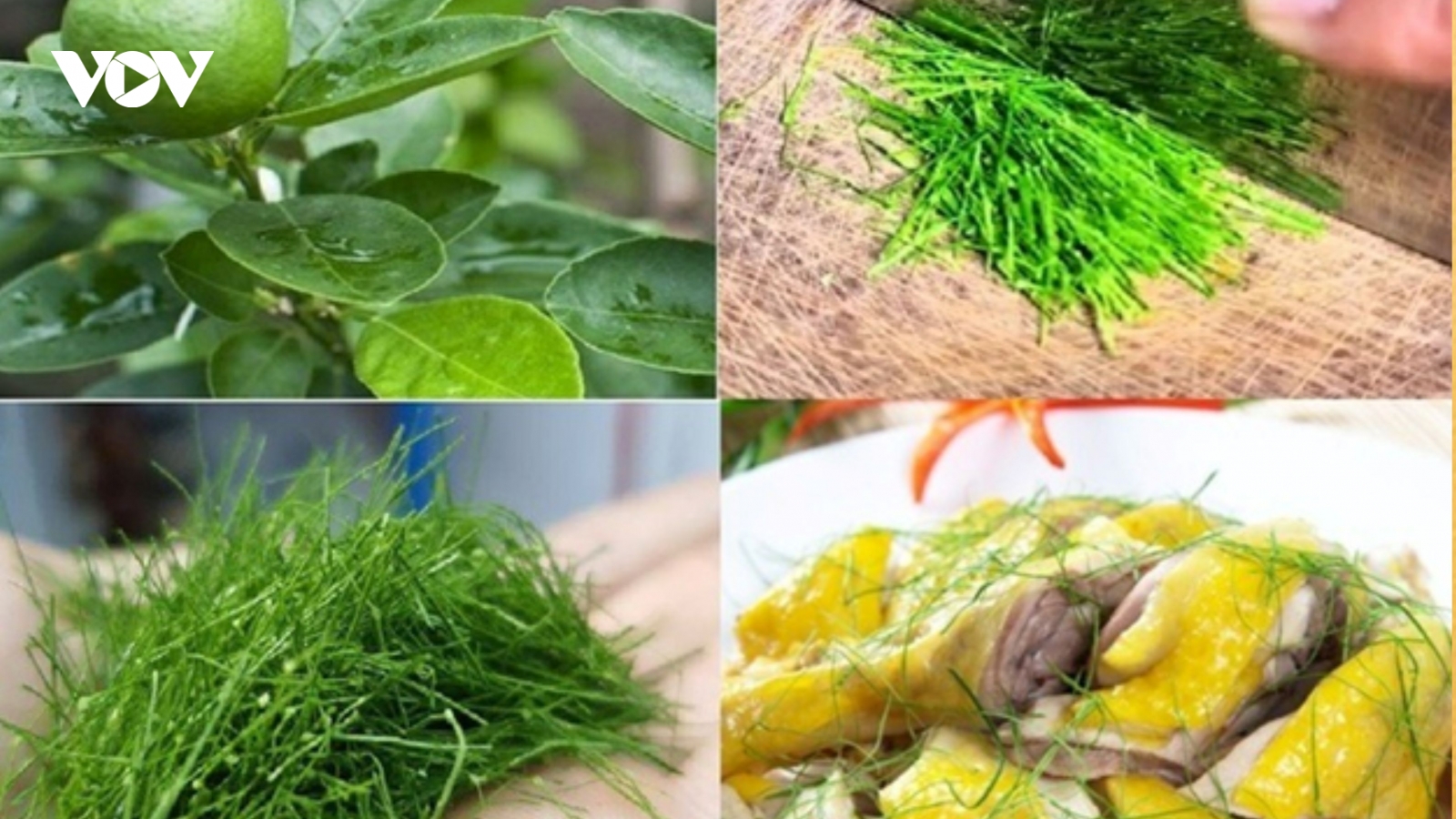 Việt Nam có lá gia vị không thể thiếu trong mâm cỗ Tết, tốt chẳng kém "thuốc bổ"