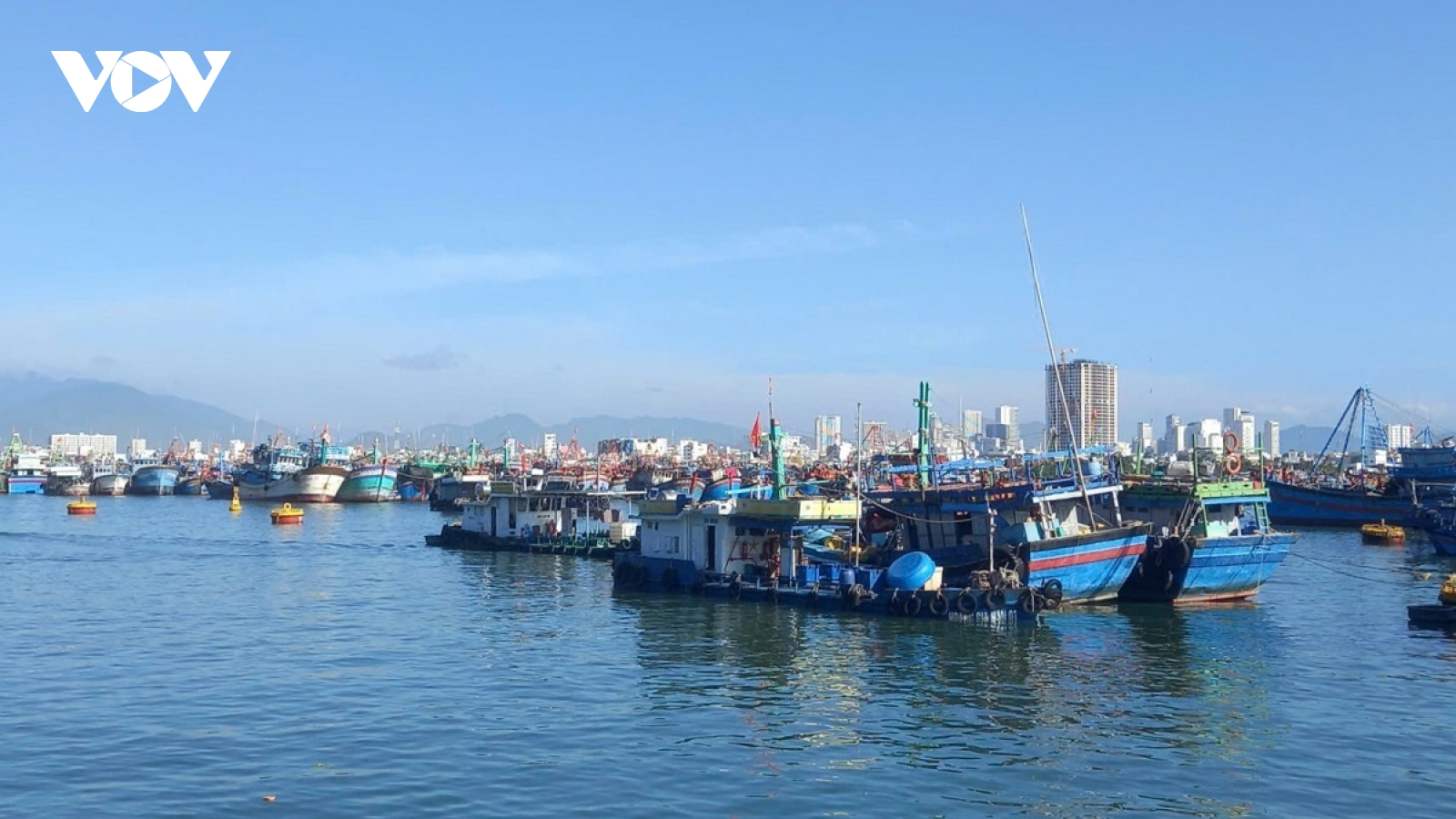 Vươn khơi đầu năm, ngư dân Khánh Hòa quyết tâm làm nghề đúng luật, chống IUU