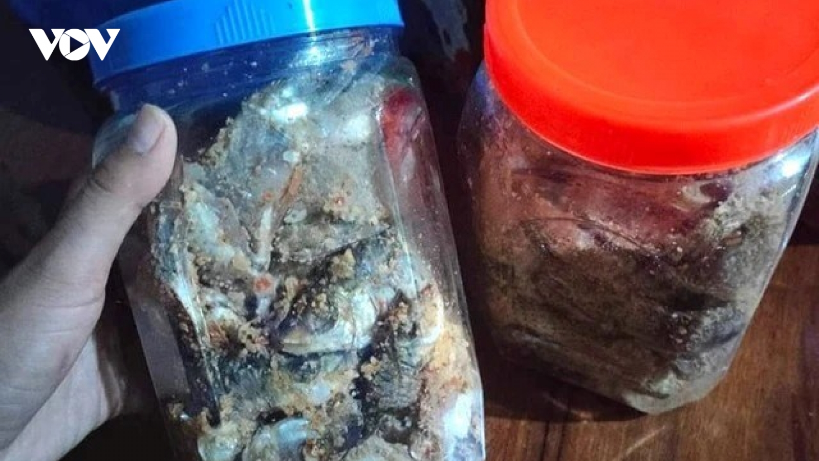 Bộ Y tế cảnh báo nguy cơ ngộ độc với thực phẩm ủ chua, lên men