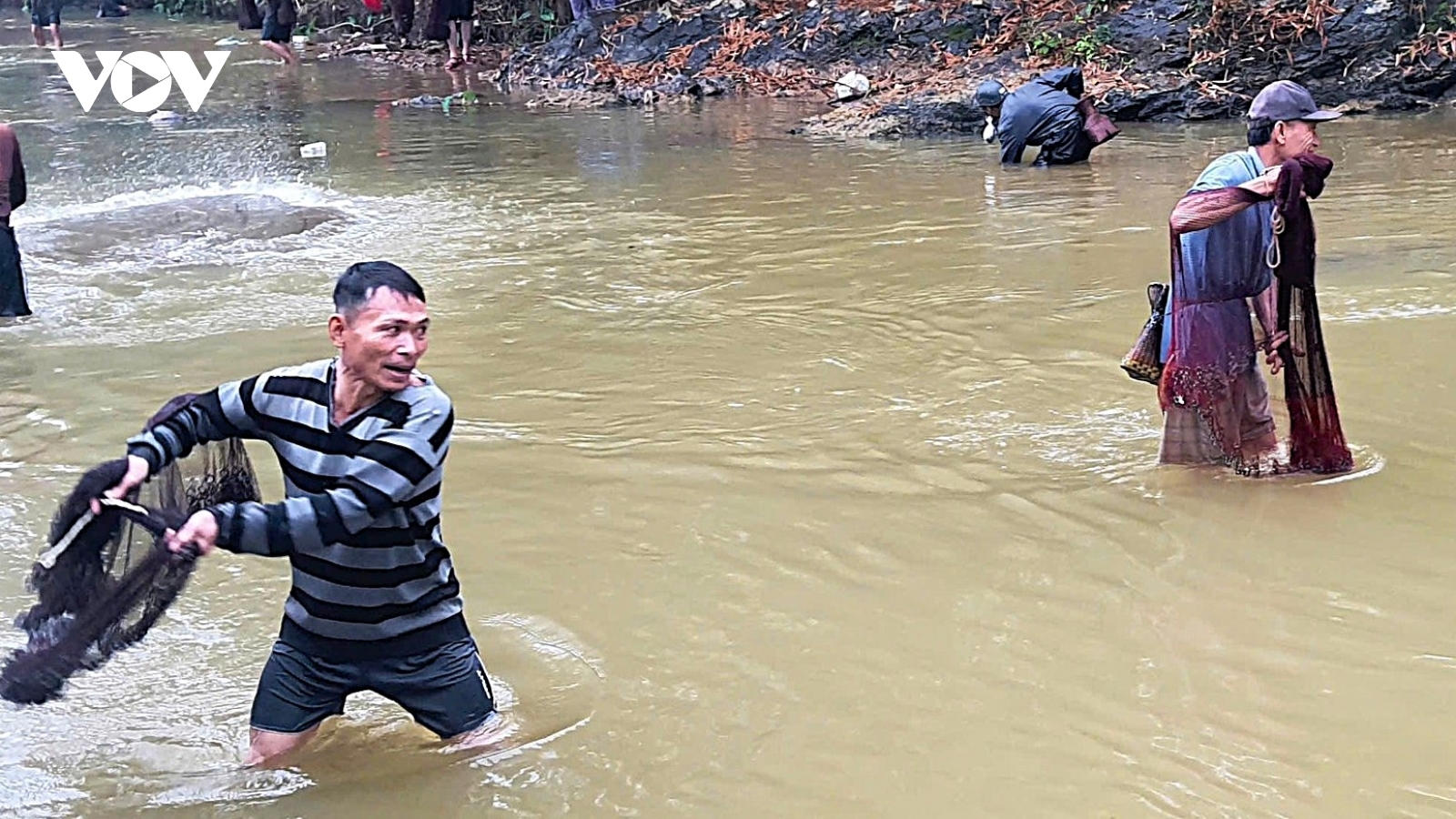 Hàng trăm người hào hứng bắt cá mát trên suối cuối năm ở miền Tây Nghệ An