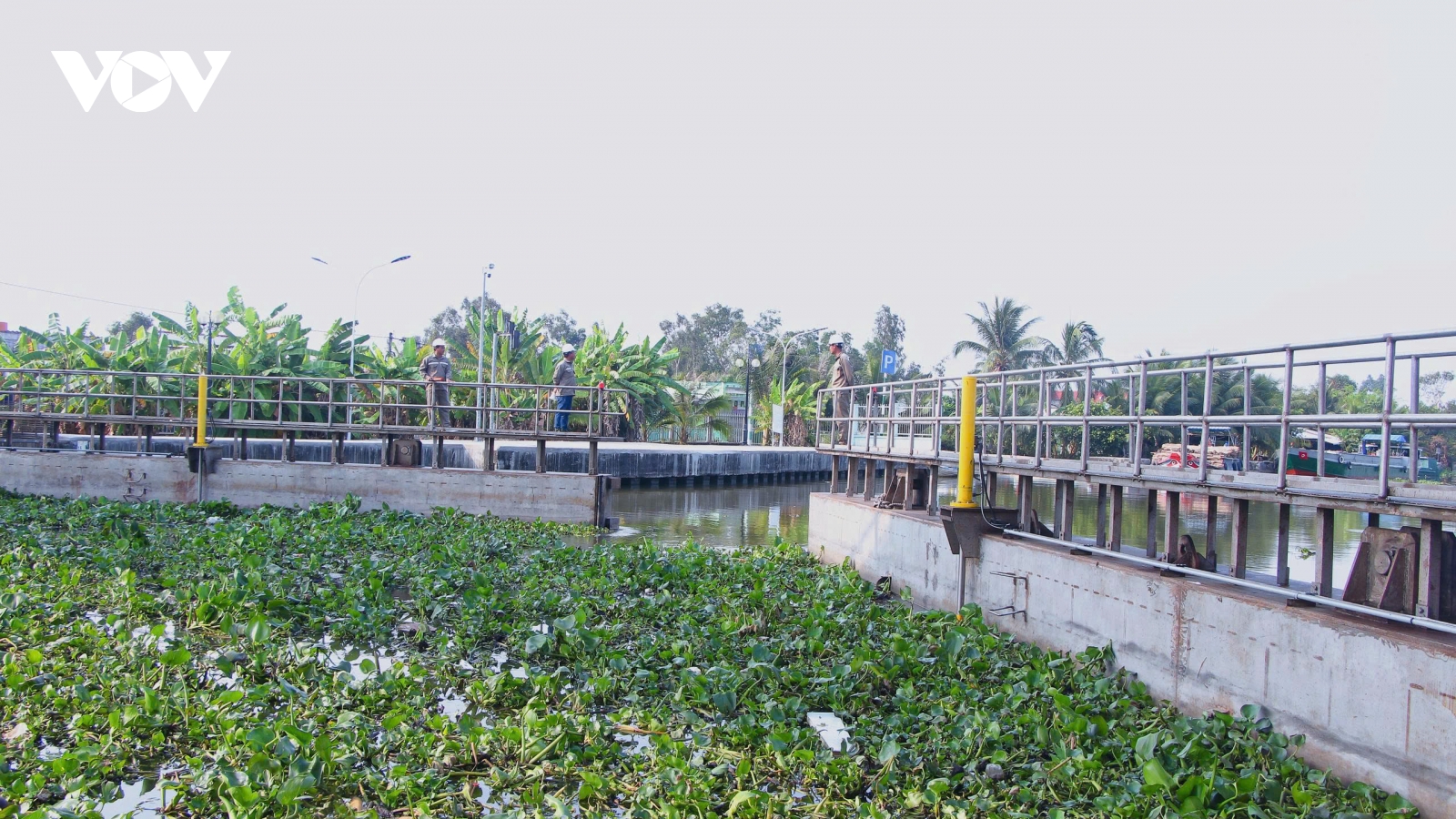 Cà Mau chủ động thực hiện các giải pháp ứng phó hạn hán và mặn xâm nhập