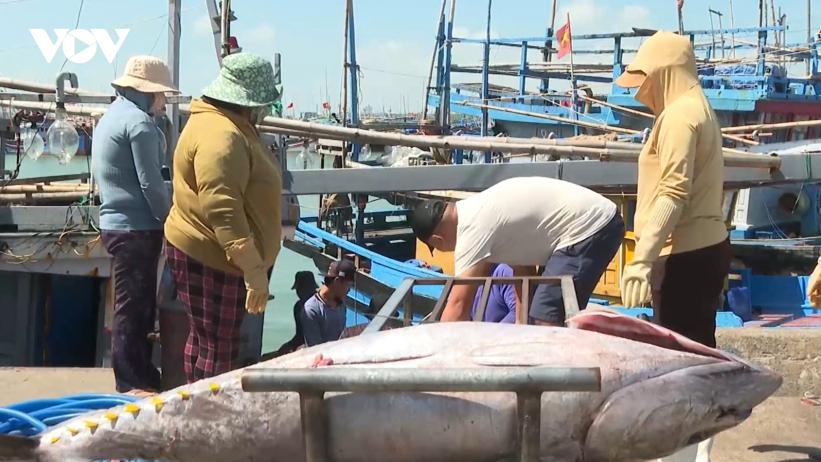 Lộc biển đầu Xuân của ngư dân Đắk Lắk