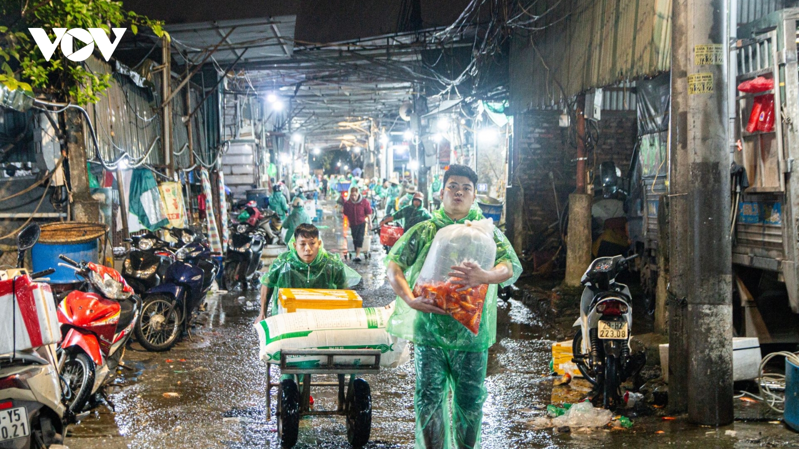 Trời rét 11°C, chợ cá Thủ đô tấp nập xuyên đêm trước ngày đưa tiễn ông Táo