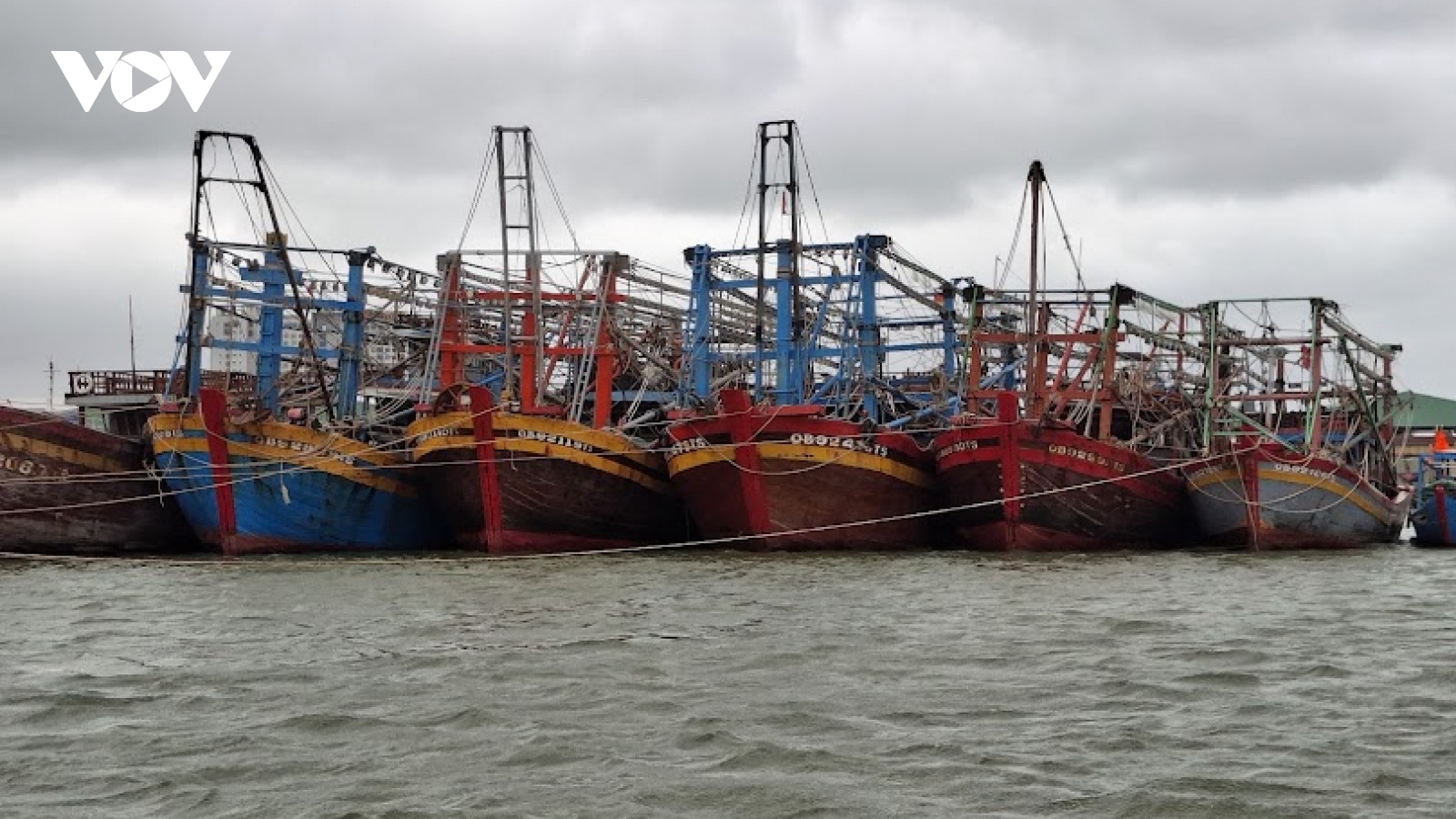 Đà Nẵng chi gần 61 tỷ đồng hỗ trợ ngư dân chuyển đổi nghề và vươn khơi