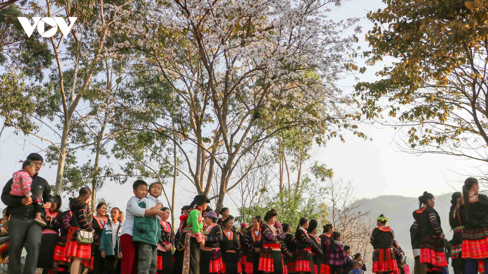 Lễ hội Hoa Ban Điện Biên 2026 hứa hẹn nhiều điểm nhấn mới