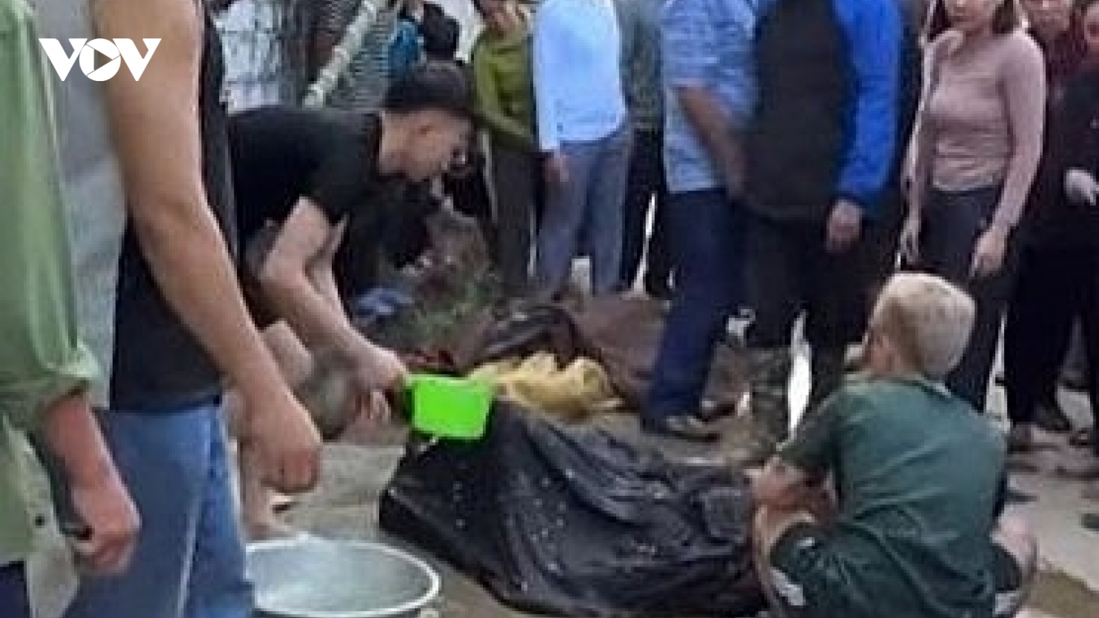 3 người bị điện giật vì dựng cây nêu trang trí Tết