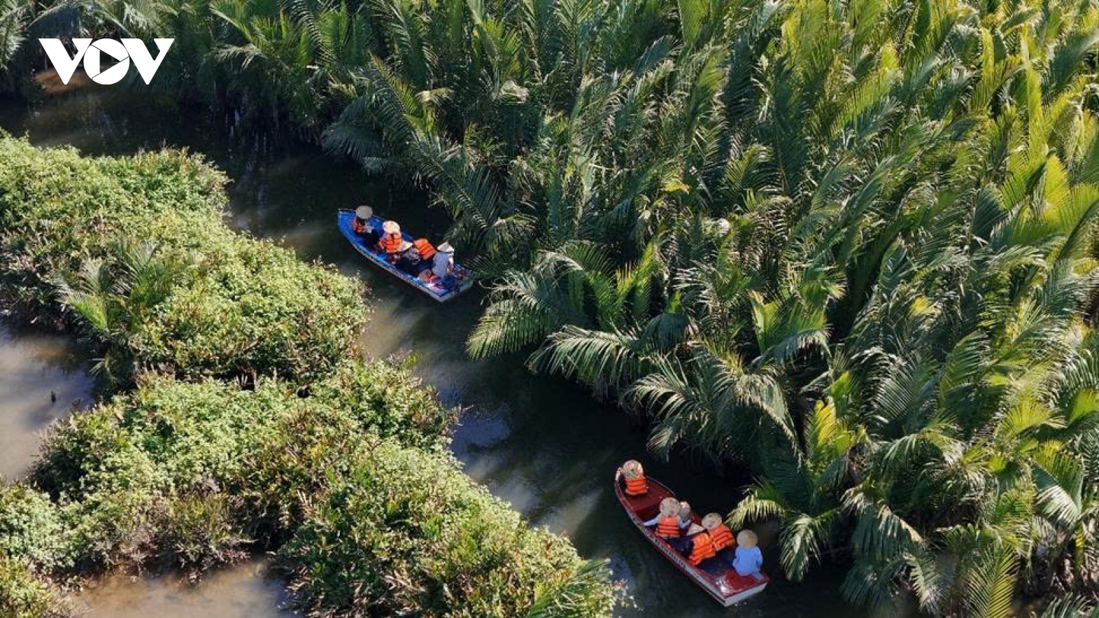 Du xuân rừng dừa nước Tịnh Khê: Trải nghiệm miền xanh giữa lòng di sản