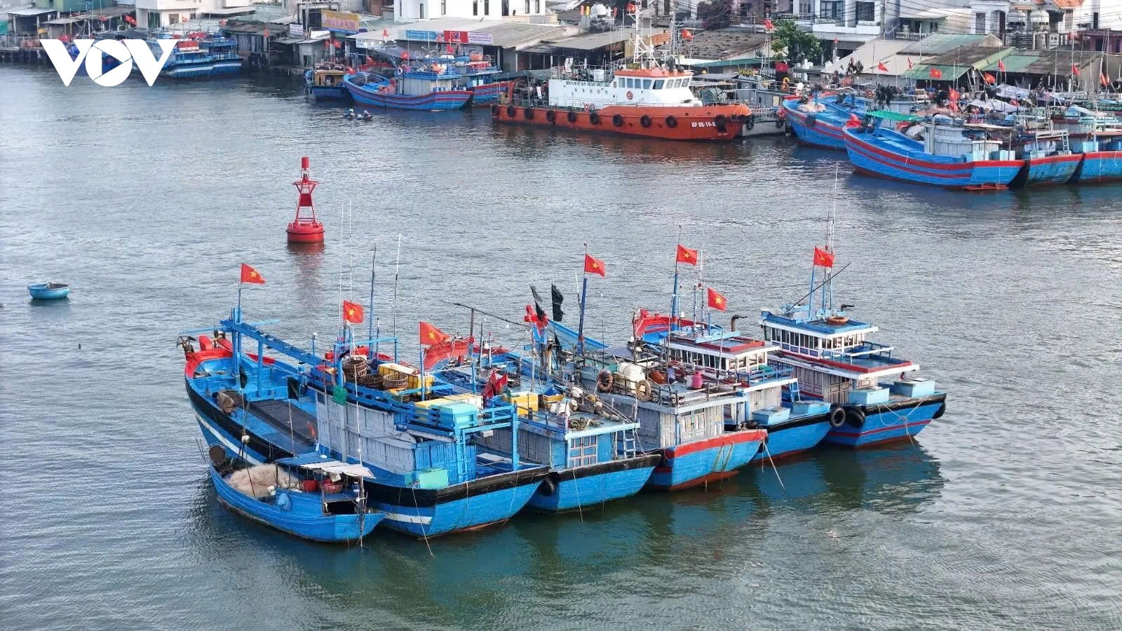 Những tàu cá rực rỡ sắc xuân tại bến cảng Tịnh Khê ngày cuối năm