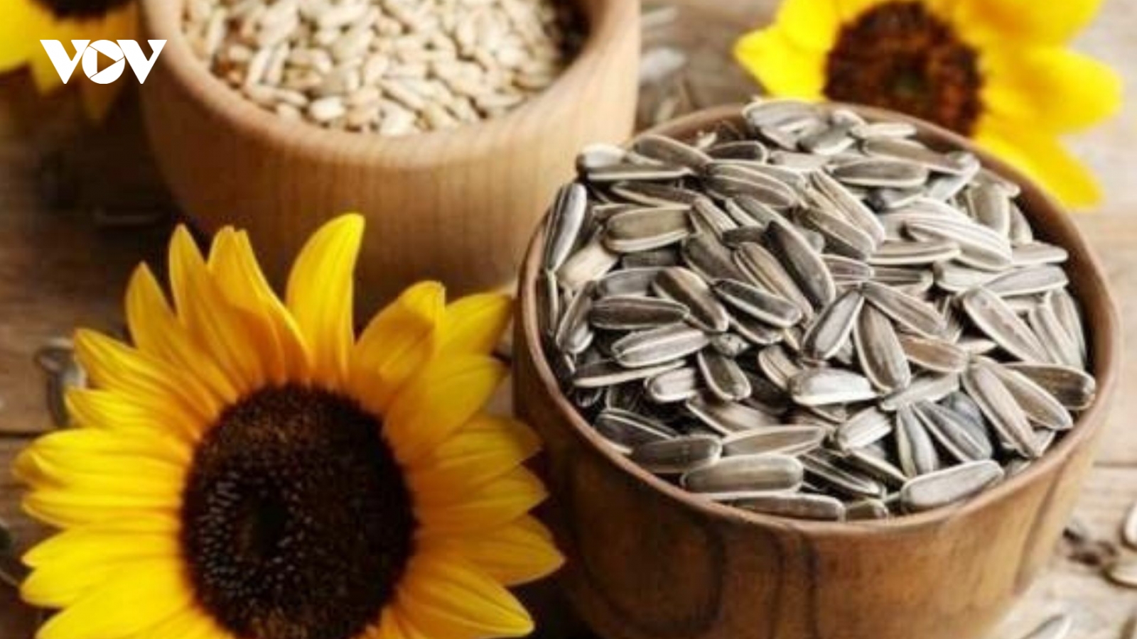 Vì sao không nên ăn quá nhiều hạt hướng dương vào dịp Tết?