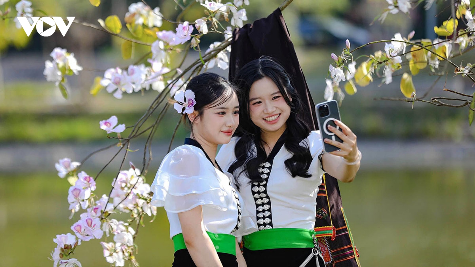 Hoa ban rực rỡ núi rừng, gọi mời du khách đến với Lễ hội hoa ban Điện Biên 2026