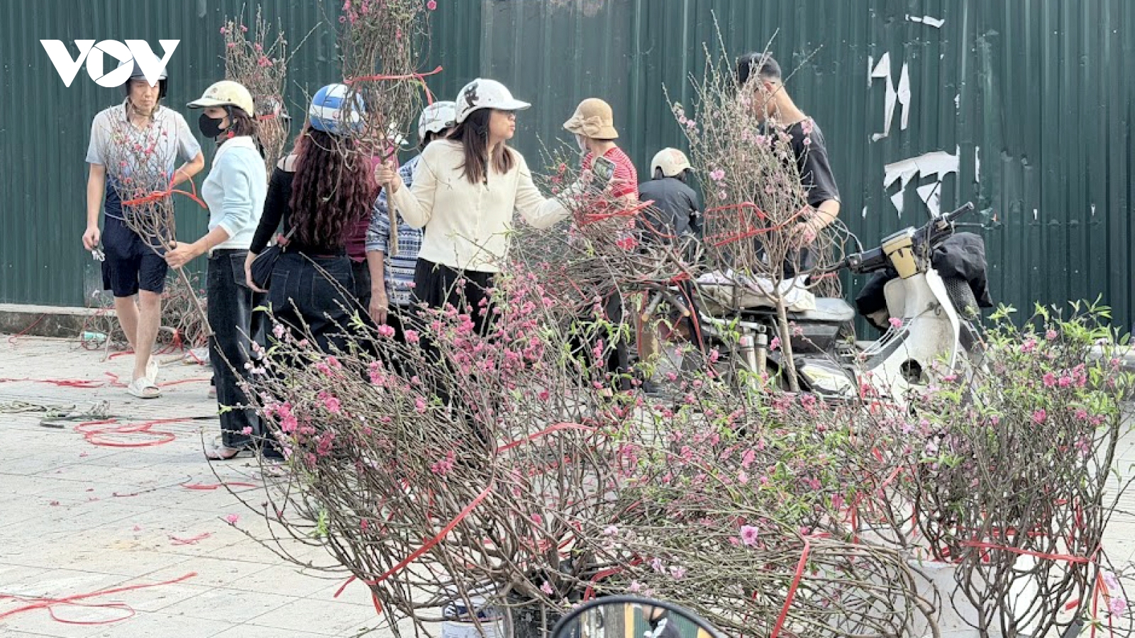 Hoa - cây cảnh “xả hàng” trước giao thừa Bính Ngọ 2026: Giá giảm sâu vẫn khó bán