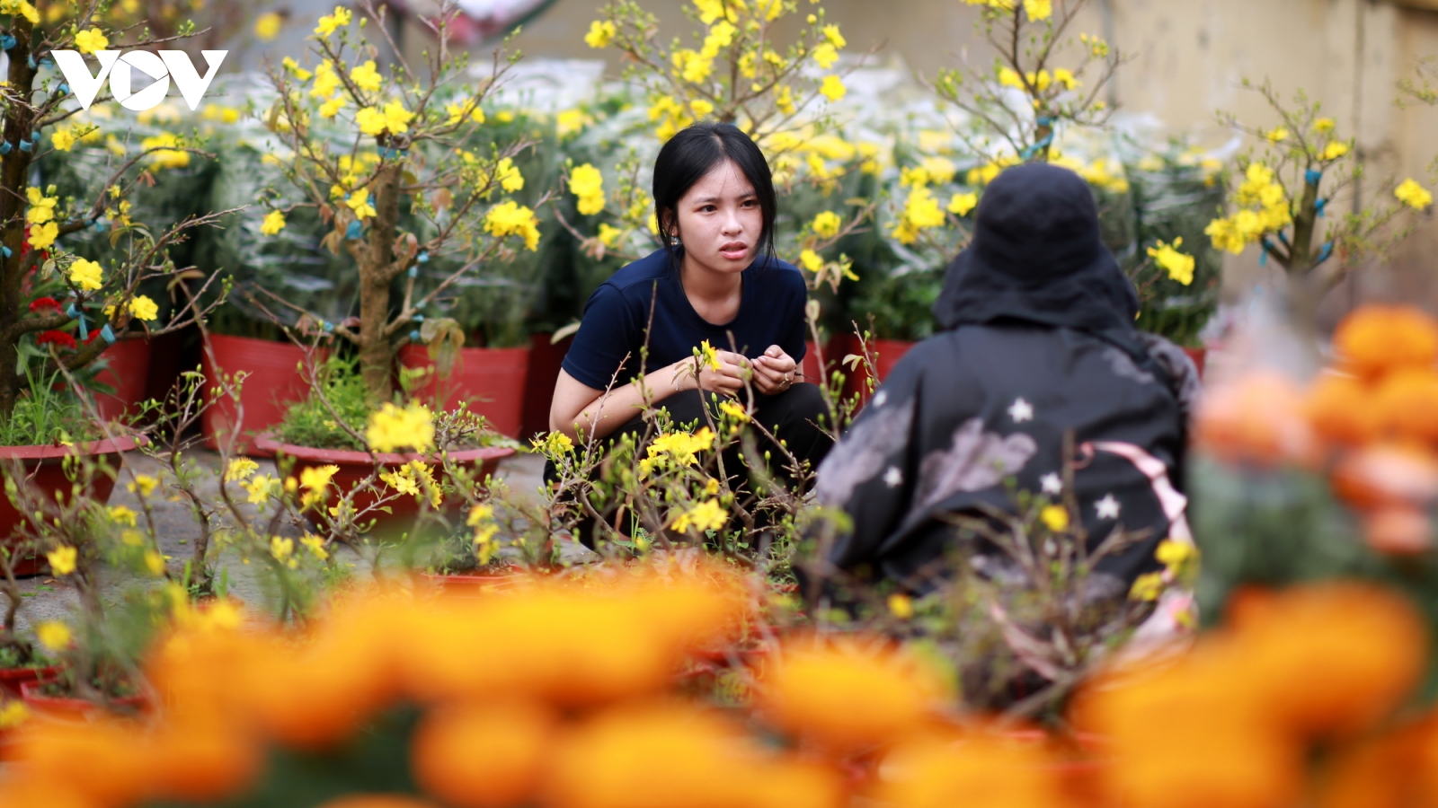 Thị trường hoa Tết tại TP.HCM: Giá mềm nhưng hỏi nhiều chốt ít