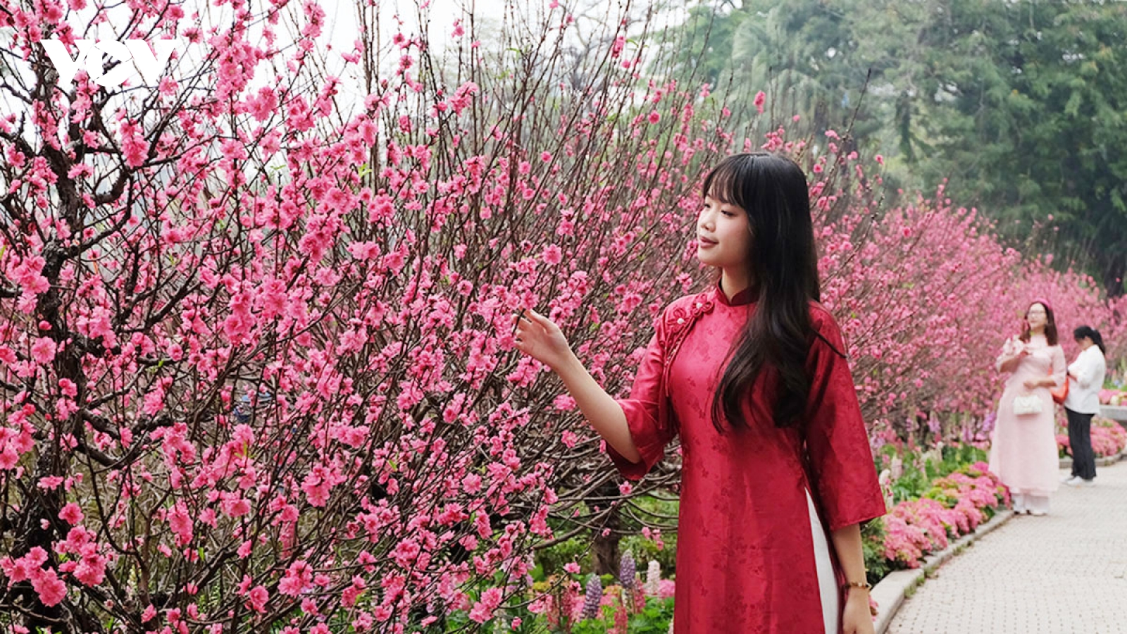 Rực rỡ không gian hoa xuân tại vườn hoa Lý Thái Tổ bên hồ Hoàn Kiếm