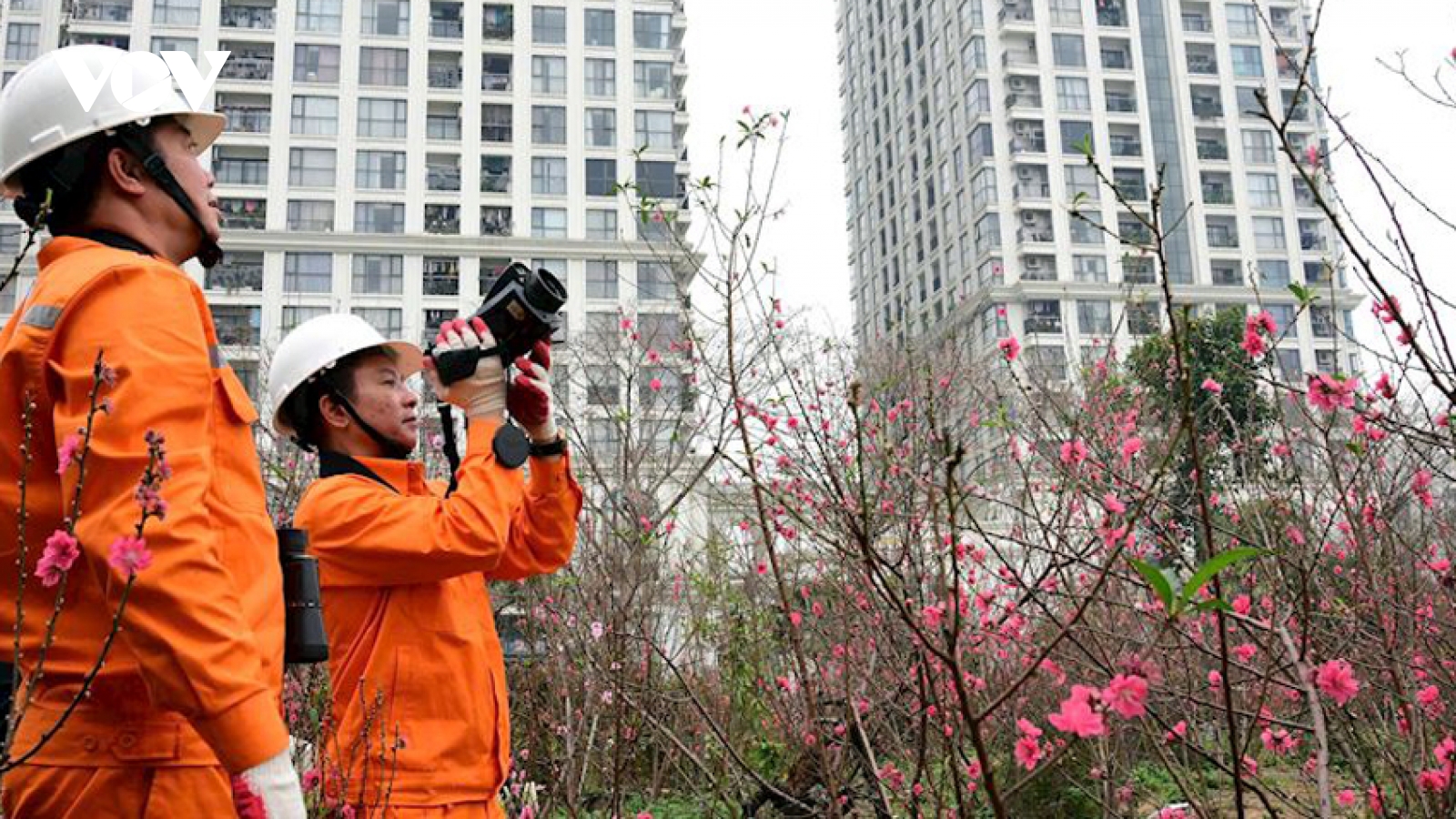 Quy định mới về giờ cao điểm, thấp điểm của hệ thống điện quốc gia