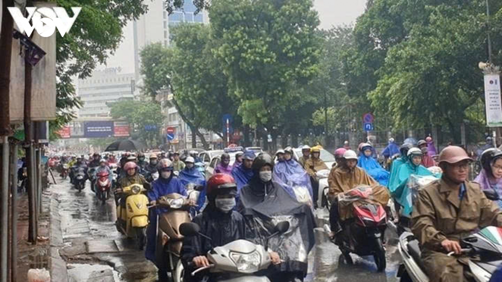 Không khí lạnh tăng cường, Bắc Bộ mưa và rét