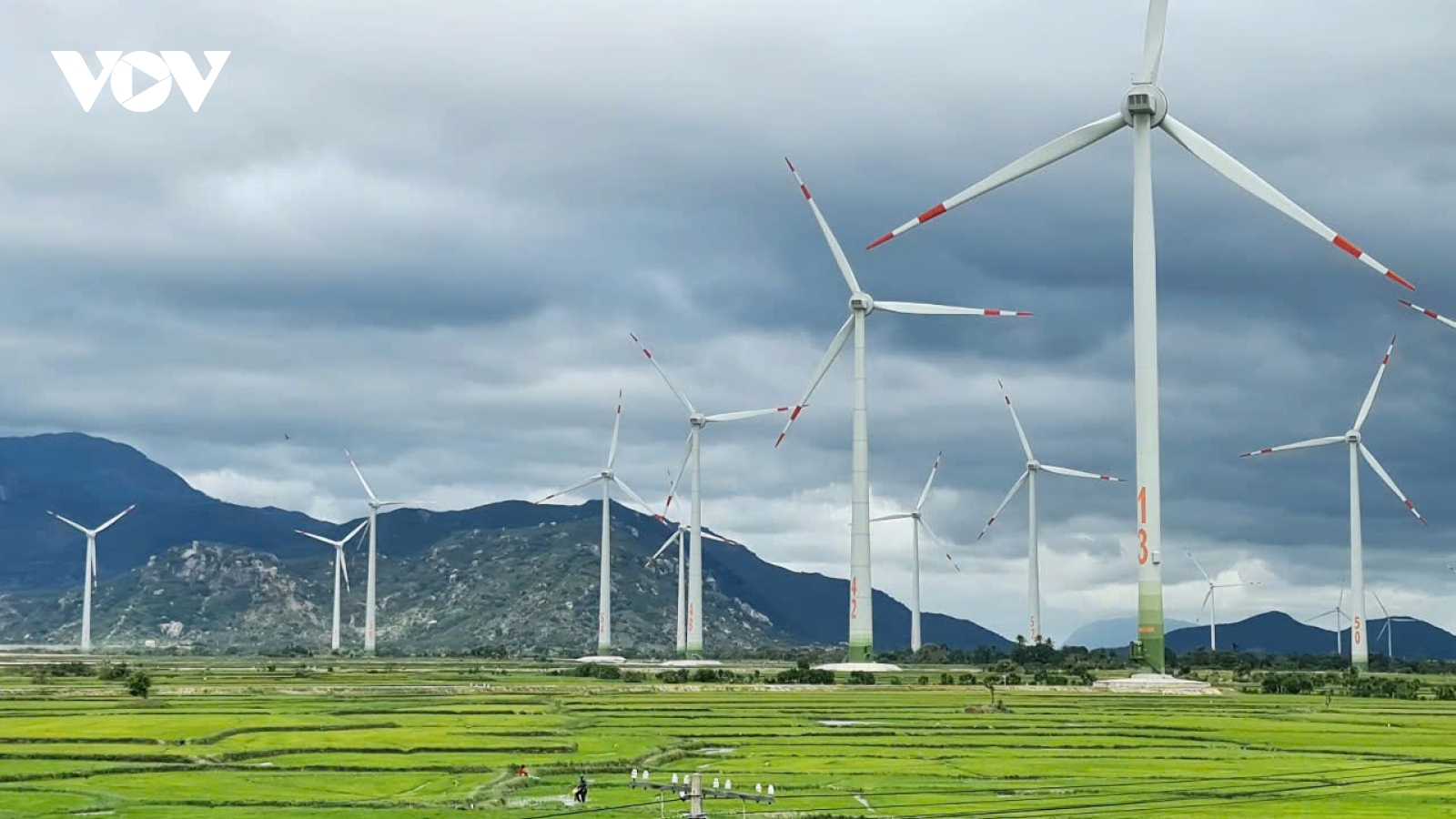 Khánh Hòa phát triển công nghiệp công nghệ cao theo hướng sinh thái, bền vững