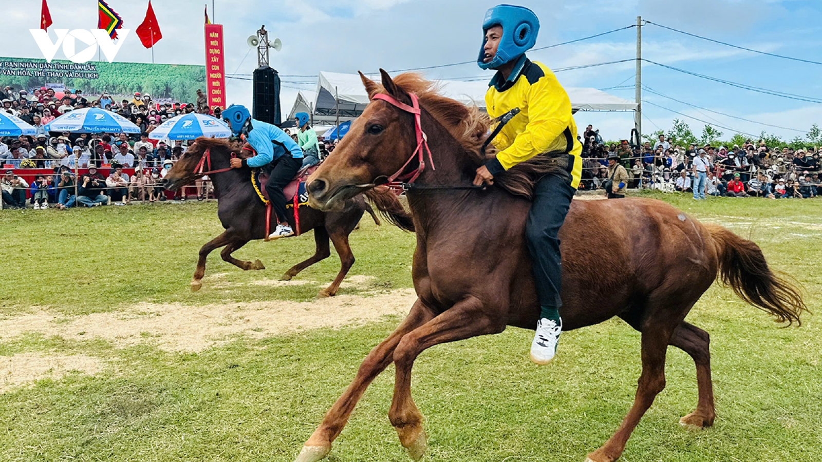 Rộn ràng vó ngựa tại Lễ hội truyền thống đua ngựa Gò Thì Thùng xuân Bính Ngọ