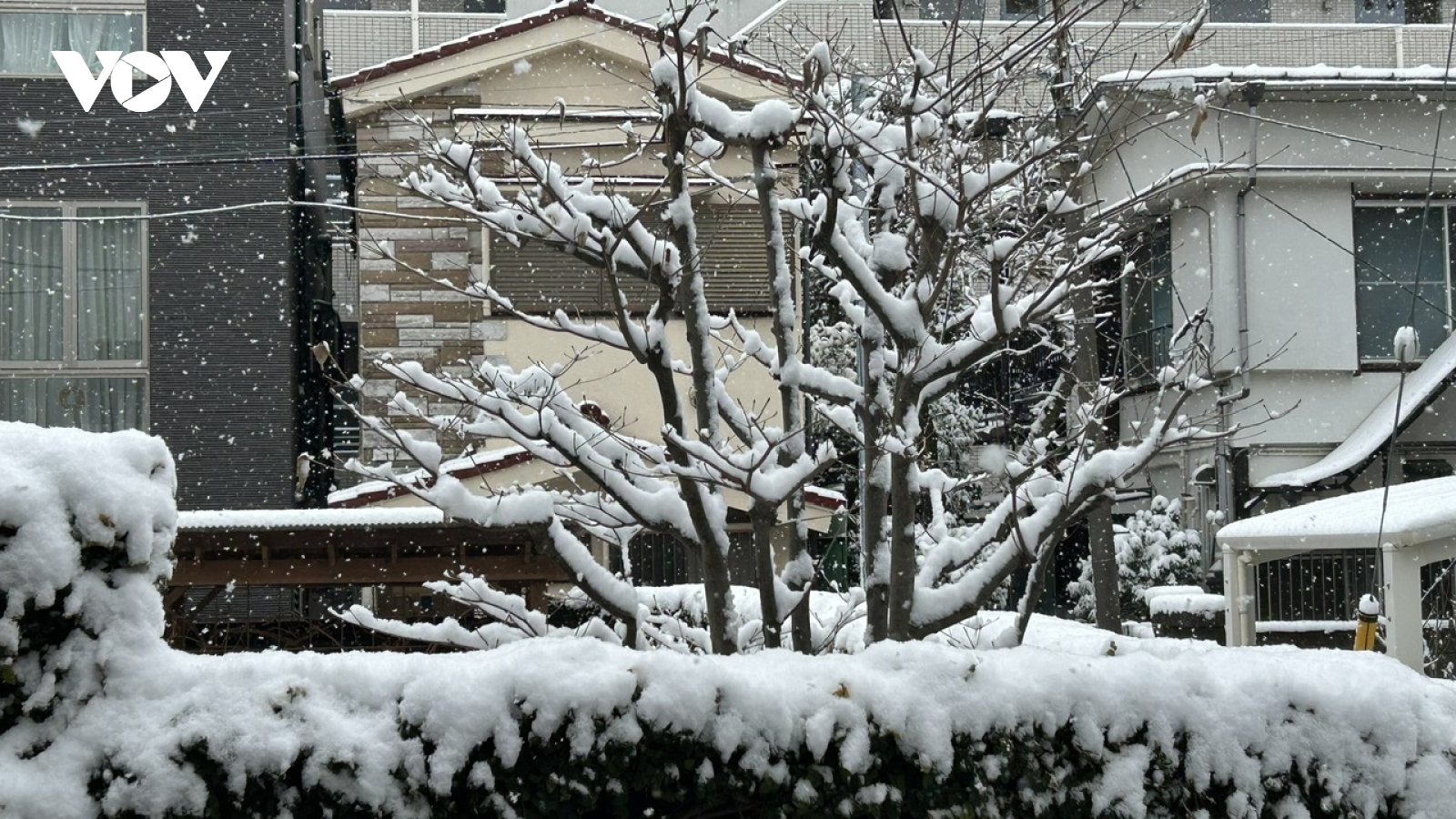 Nhật Bản: Gần 600 người thương vong, giao thông tê liệt do thời tiết cực đoan