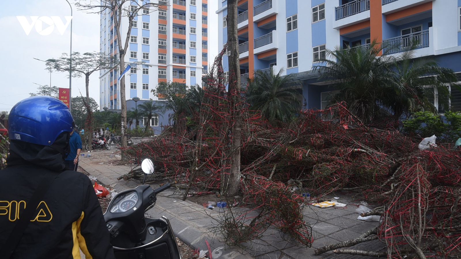 Chiều 29 Tết, tiểu thương rời chợ, đào rừng bị bỏ lại chất đống trên vỉa hè