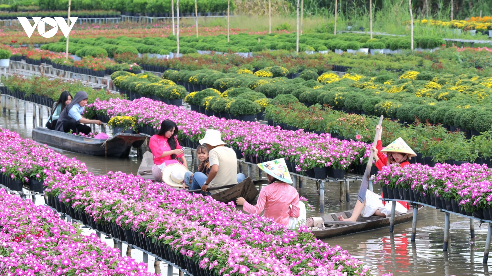 Đầu xuân về Sa Đéc cảm nhận tình đất, tình người