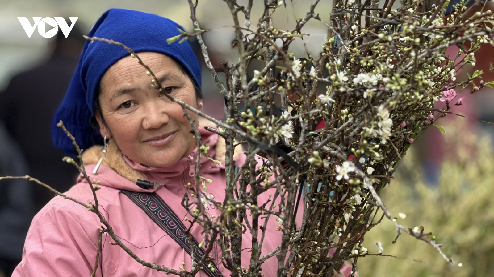Phiên chợ Bắc Hà giáp Tết: Đào rừng, mận trắng hút khách