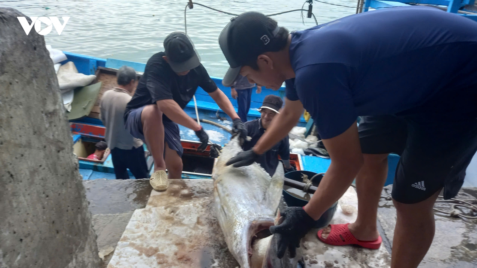Lộc biển đầu năm từ Trường Sa, ngư dân đón Tết muộn trong niềm vui trọn vẹn
