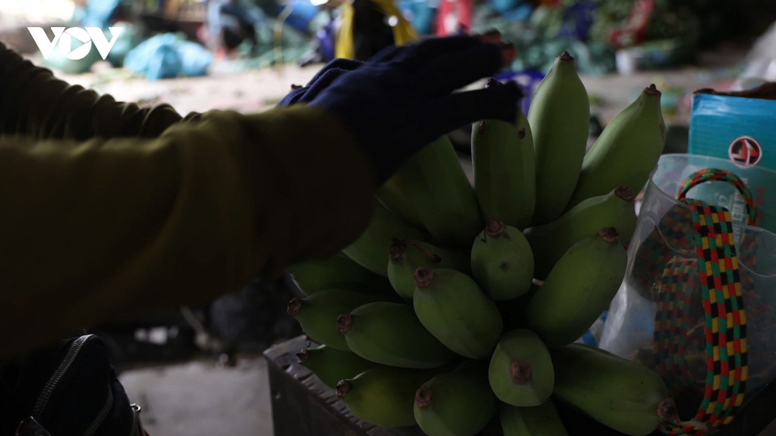 Chợ chuối Suối Cát mỗi năm một phiên, buồng chuối đẹp giá tiền triệu